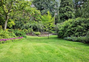 Optimiser l'expérience du jardin à Saint-Arnoult-des-Bois